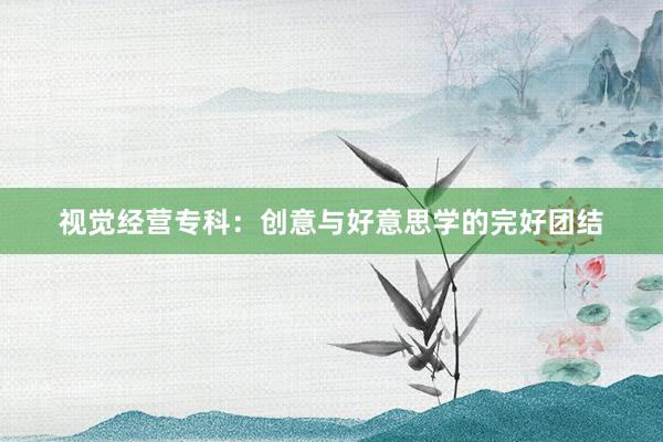 视觉经营专科：创意与好意思学的完好团结