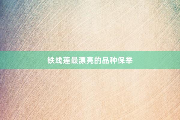 铁线莲最漂亮的品种保举