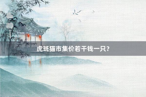 虎斑猫市集价若干钱一只？