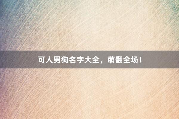 可人男狗名字大全，萌翻全场！