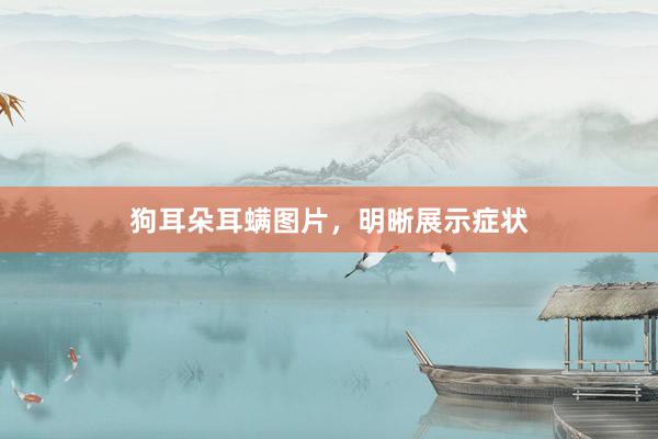 狗耳朵耳螨图片,明晰展示症状