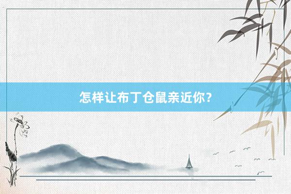 怎样让布丁仓鼠亲近你?