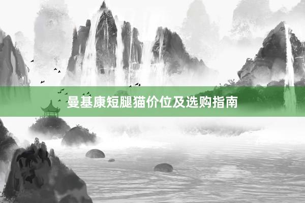 曼基康短腿猫价位及选购指南